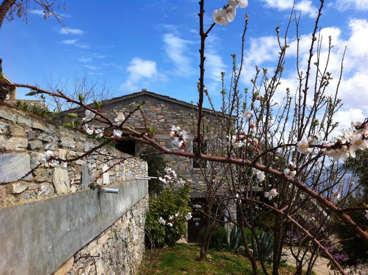 Pyrgos Traditional Village Agios Kirykos  Ngoại thất bức ảnh