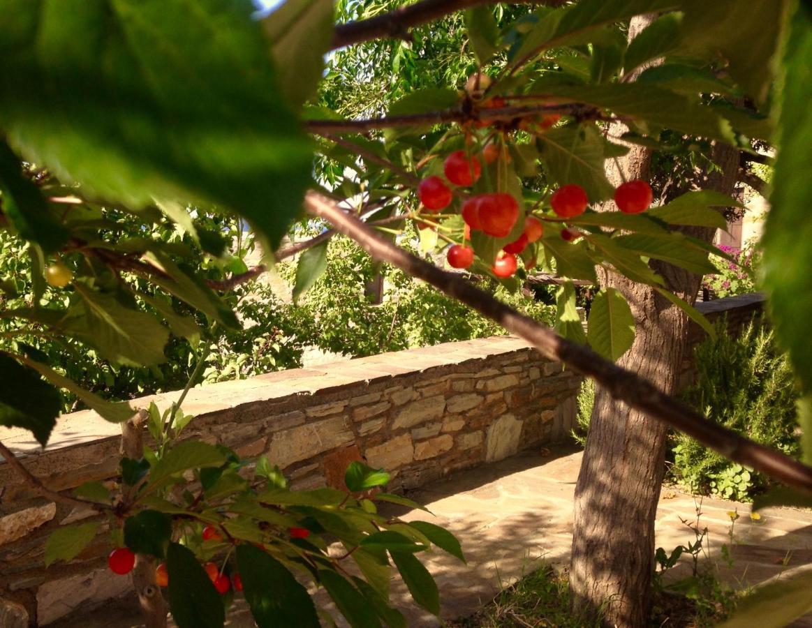 Pyrgos Traditional Village Agios Kirykos  Ngoại thất bức ảnh